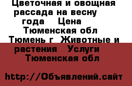 Цветочная и овощная рассада на весну 2017 года. › Цена ­ 15 - Тюменская обл., Тюмень г. Животные и растения » Услуги   . Тюменская обл.